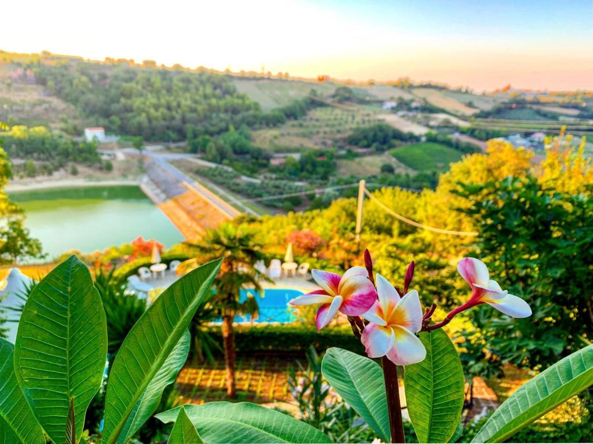 Chiaraluce Country House Massignano Ngoại thất bức ảnh