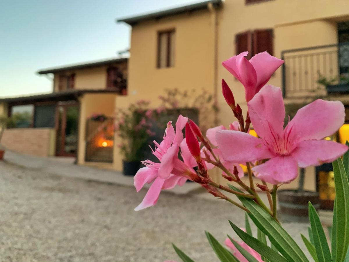 Chiaraluce Country House Massignano Ngoại thất bức ảnh